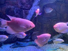 -多彩贵州城极地海洋世界