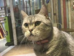 -小时光咖啡馆(开森度假森林店)