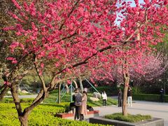 -木塔寺遗址生态公园