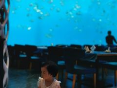 -瑞德姆美人鱼海底演艺主题餐厅(亚龙湾店)
