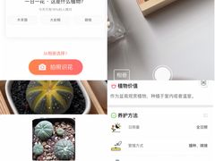 -双季花艺园艺市场(浦东店)