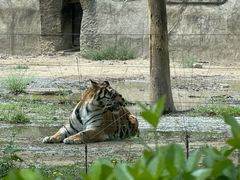 -秦皇岛野生动物园