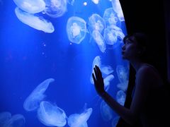 -成都浩海立方海洋公园