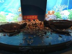 -苏州海洋馆
