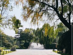 -济南大明湖景区