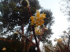 android_upload_pic-万佛塔公园