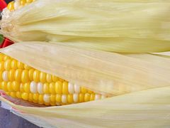 玉米-光明刘冰乳鸽店(光明法政北路店)