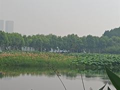 -金银湖国家城市湿地公园