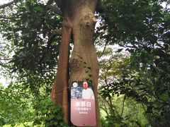 -李小龙乐园(顺德均安店)