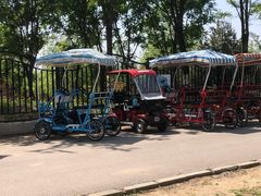 -永定河休闲森林公园