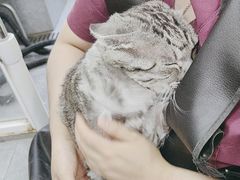 -宠福鑫康馨动物医院·骨科·眼科