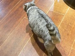 -H立方实景剧情密室(天河旗舰店)