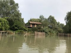 -溱湖国家湿地公园