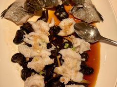 法国多宝鱼原条蒸-利苑酒家(宜安广场店)