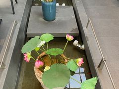 -单家老院·院子里的青岛菜(沙子口店)