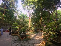 -成都武侯祠博物馆