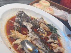 -秀儿四九城·新京菜(亚运村鸟巢店)