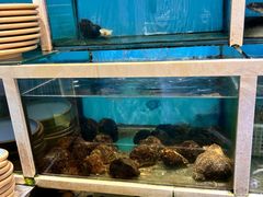 -泰白海鲜烧烤大全