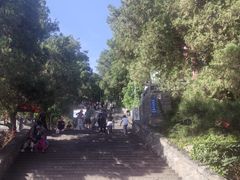 -泰山风景名胜区-虎山公园