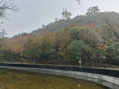-白水寺森林公园