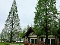 -太阳岛度假酒店