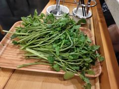 -烹然四季椰子鸡火锅(团结湖总店)