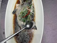 -骏莱海鲜鱼港(五角场店)