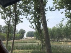 -东郊湿地公园