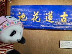 -莲池书院博物馆