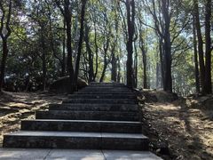 -火炉山森林公园