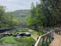 -白水寺森林公园