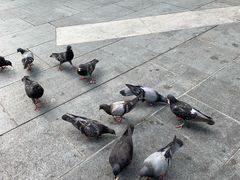 -詹爷爷乌节路街头冰淇淋