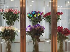 -ROSEONLY诺誓(国际广场购物中心店)