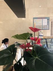 点击看大图 -昆明梦想医疗美容医院