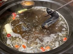 -滇野云南野生菌餐厅(陕西南路店)