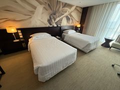 -国家会议中心大酒店