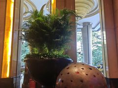 -深圳凯宾斯基酒店