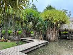 -中国科学院西双版纳热带植物园