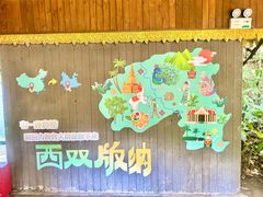 -西双版纳原始森林公园