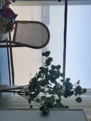 -Mo·Mo Nail 美甲美睫