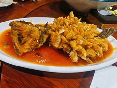 糖醋鱼-老苏扬饭店