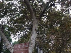 -临安城遗址(太庙遗址)