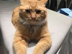 -小时光咖啡馆(开森度假森林店)