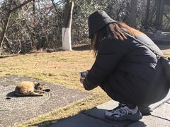 -敬亭山风景名胜区