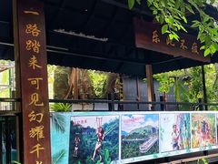 -呀诺达热带雨林