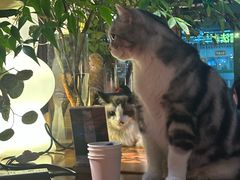 -咖法森林·咖啡  酒吧(天河店)