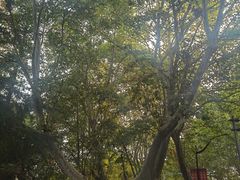 -南京维景国际大酒店(南京博物院店)