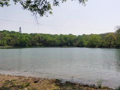 -紫霞湖公园