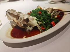 椒麻蒸桂花鱼-玫瑰厅上海菜(兴国路店)