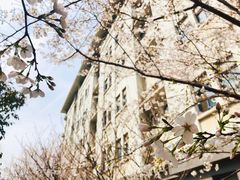 -东南大学(九龙湖校区)
